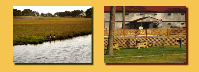 two images in one, picnic area and 2 geese on the creek