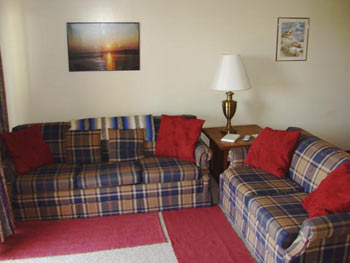A view of the Apartment's Living Room